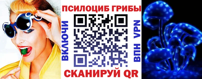 Галлюциногенные грибы Magic Shrooms  Егорьевск 
